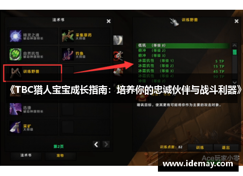 《TBC猎人宝宝成长指南：培养你的忠诚伙伴与战斗利器》